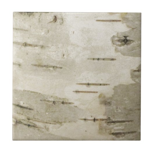 Birch Keramik Tile Fliese (Vorderseite)