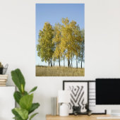 Birch Poster (Heimbüro)