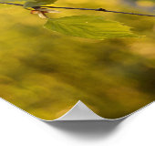Birch Poster (Ecke)