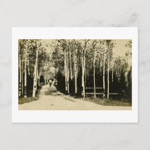 Birch Road Harbour Beach Resort, Michigan Postkarte