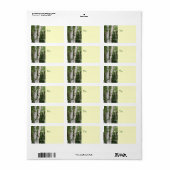 Birch Tree Address Label Adressaufkleber (Vorne)