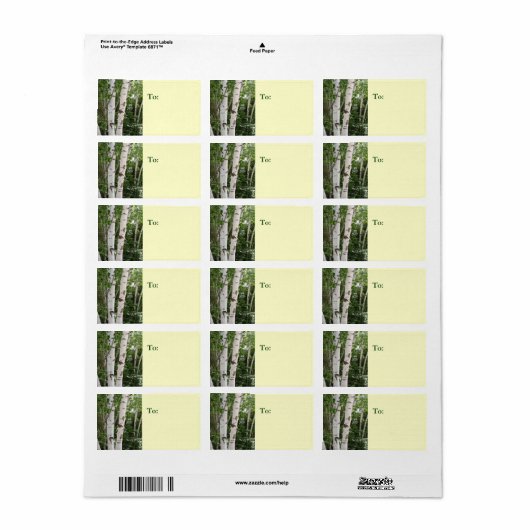 Birch Tree Address Label Adressaufkleber (Vorne)