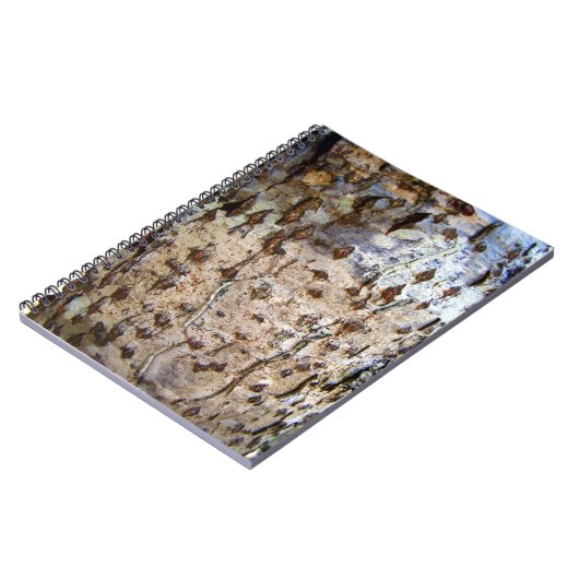Birch Tree Bark Foto Notebook Notizblock (Linke Seite)