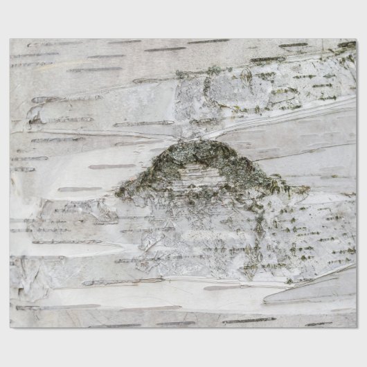 Birch Tree Bark Geschenkpapier (Flach)