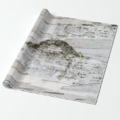 Birch Tree Bark Geschenkpapier (Ungerollt)