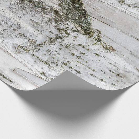 Birch Tree Bark Geschenkpapier (Ecke)