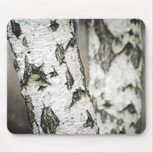Birch Tree Bark