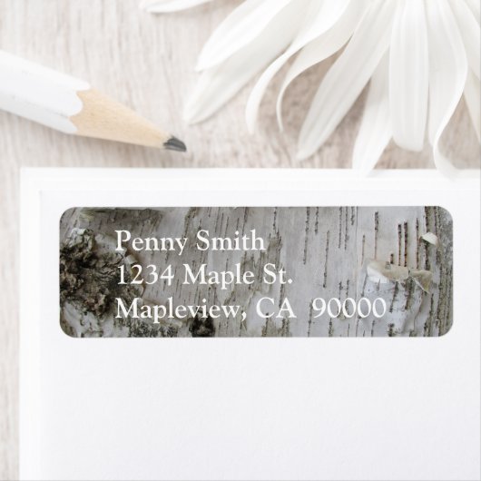 Birch Tree Bark Peeled Old Foto (Insitu)