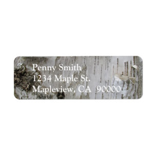 Birch Tree Bark Peeled Old Foto