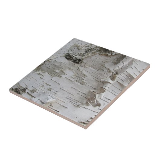 Birch Tree Bark Peeled Old Foto Fliese (Seite)