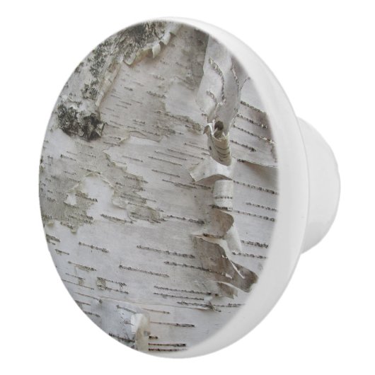 Birch Tree Bark Peeled Old Foto Keramikknauf (Rechts)