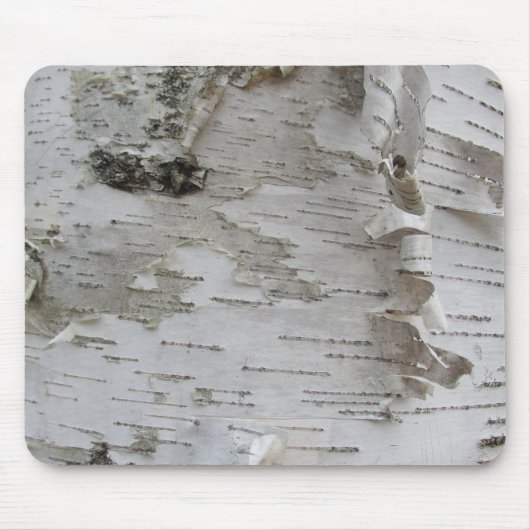 Birch Tree Bark Peeled Old Foto Mousepad (Vorne)
