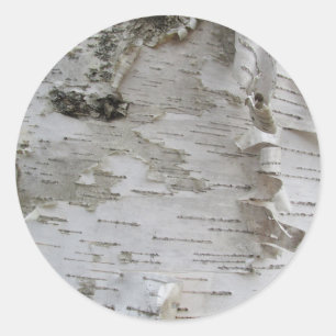 Birch Tree Bark Peeled Old Foto Runder Aufkleber