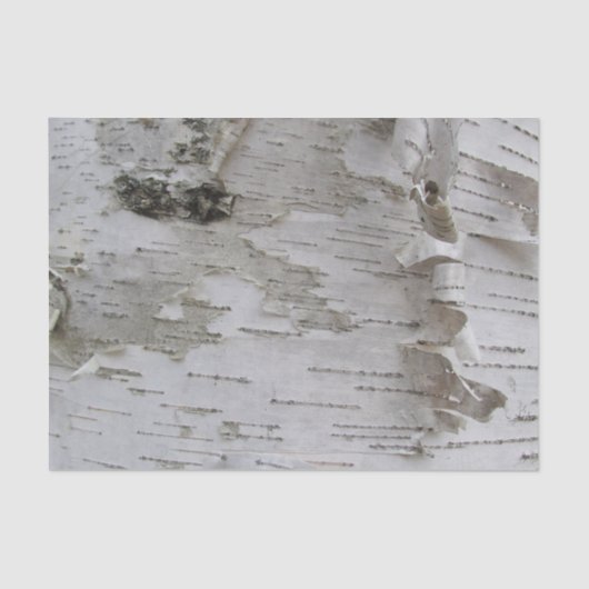 Birch Tree Bark Peeled Old Foto Seidenpapier (Vorderseite)