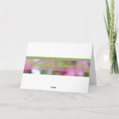 Birch Tree Bark Texture Karte (Rückseite)