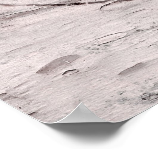 Birch Tree & Carved Heart Rustic Wedding Banner Poster (Ecke)