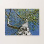 Birch Tree Crown Foto - Puzzle (Horizontal)