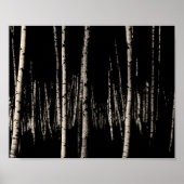 Birch Tree Forest in Sepia Poster (Vorne)
