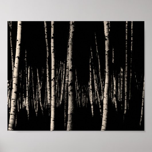 Birch Tree Forest in Sepia Poster (Vorne)