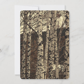 Birch Tree Forest Nature Einladung