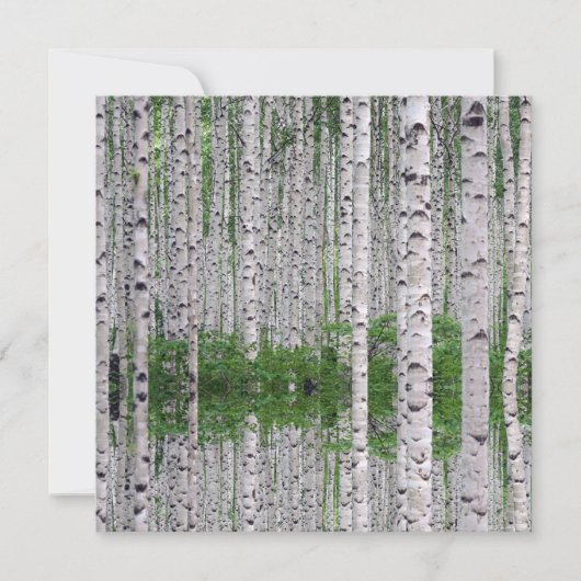 Birch Tree Forest Nature Flat Card (Vorderseite)
