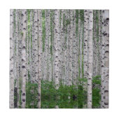 Birch Tree Forest Nature Fliese (Vorderseite)