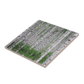 Birch Tree Forest Nature Fliese (Seite)