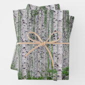 Birch Tree Forest Nature Geschenkpapier Set (Beispiel)