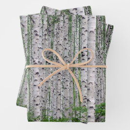 Birch Tree Forest Nature Geschenkpapier Set