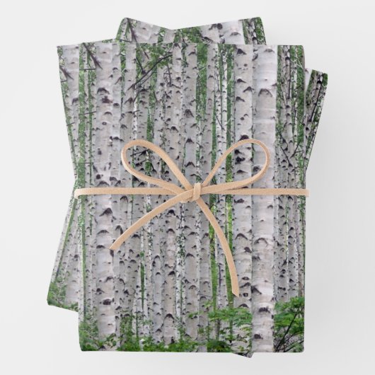 Birch Tree Forest Nature Geschenkpapier Set (Beispiel)