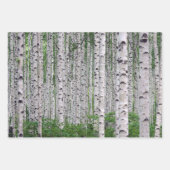 Birch Tree Forest Nature Geschenkpapier Set (Vorderseite)