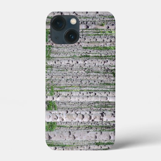 Birch Tree Forest Nature iPhone Case (Rückseite)