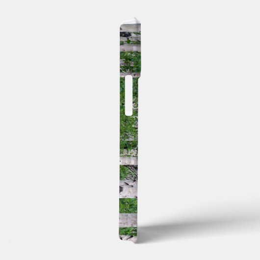 Birch Tree Forest Nature iPhone Case (Rückseite / Rechts)
