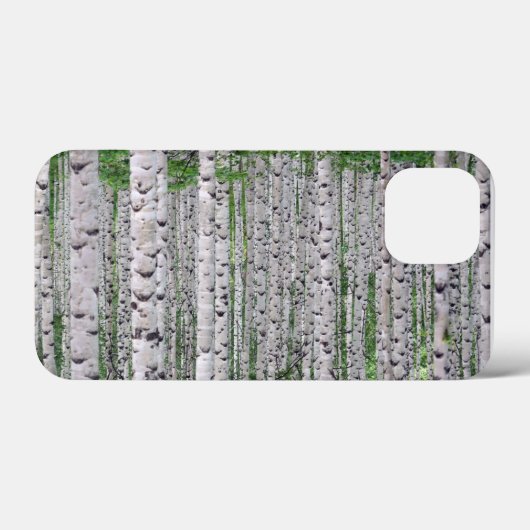 Birch Tree Forest Nature iPhone Case (Rückseite (Horizontal))