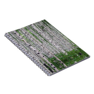 Birch Tree Forest Nature Notizblock