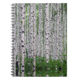 Birch Tree Forest Nature Notizblock