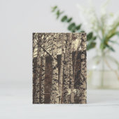 Birch Tree Forest Nature Postkarte (Stehend Vorderseite)