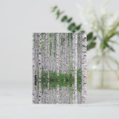 Birch Tree Forest Nature Postkarte (Stehend Vorderseite)