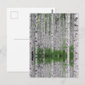 Birch Tree Forest Nature Postkarte (Vorne/Hinten)
