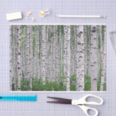 Birch Tree Forest Nature Seidenpapier (Handwerk)