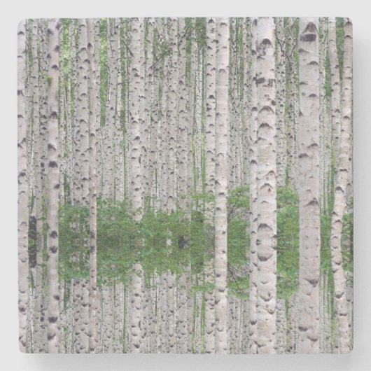 Birch Tree Forest Nature Steinuntersetzer (Vorderseite)