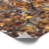 Birch Tree Forest Poster (Ecke)