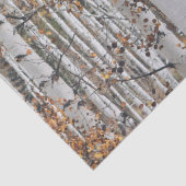 Birch Tree Forest Seidenpapier (Detail)