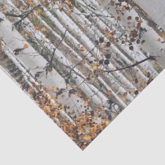 Birch Tree Forest Seidenpapier (Detail)