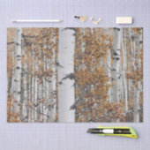 Birch Tree Forest Seidenpapier (Handwerk)