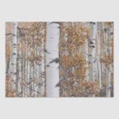 Birch Tree Forest Seidenpapier (Vorderseite)