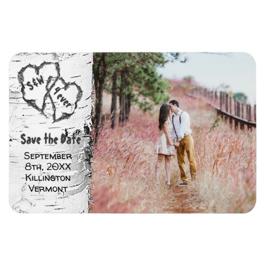 Birch Tree Foto Speichern Sie das Datumsfenster Magnet (Horizontal)