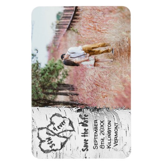 Birch Tree Foto Speichern Sie das Datumsfenster Magnet (Vertikal)