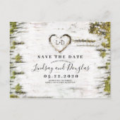Birch Tree Herz rustikal Save the Date Ankündigungspostkarte (Vorderseite)