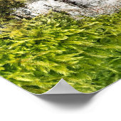 Birch Tree Herz Rustikale Hochzeit im Herbst Willk Poster (Ecke)